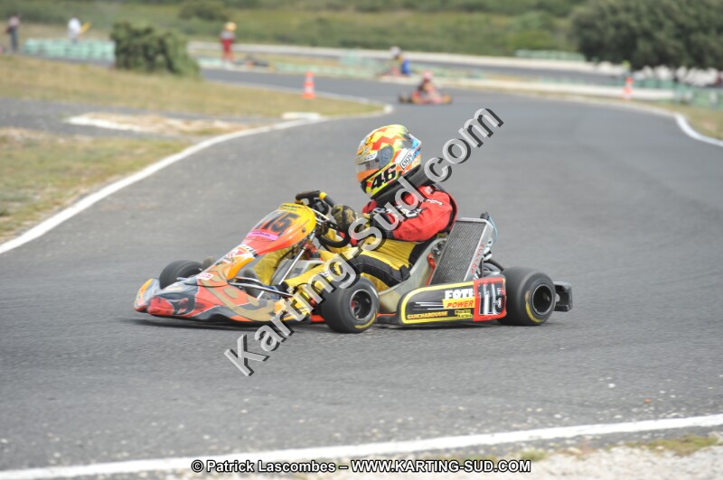 DSC (3432).JPG